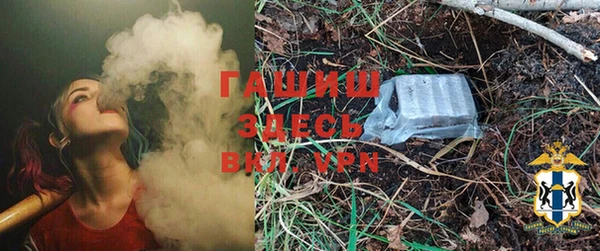 дживик Гусь-Хрустальный