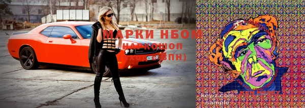 дживик Гусь-Хрустальный