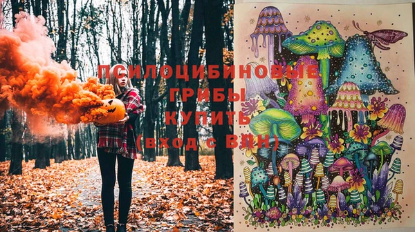 дживик Гусь-Хрустальный
