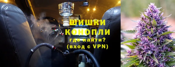 дживик Гусь-Хрустальный