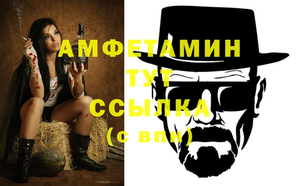 дживик Гусь-Хрустальный