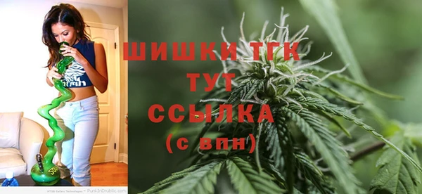 дживик Гусь-Хрустальный