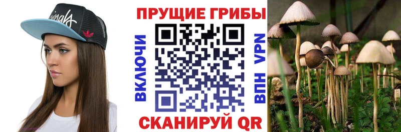 Псилоцибиновые грибы Magic Shrooms Ейск